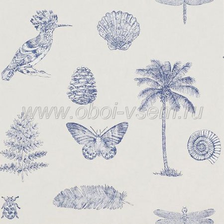   DVOY213385 Voyage of Discovery Wallpapers (Sanderson)