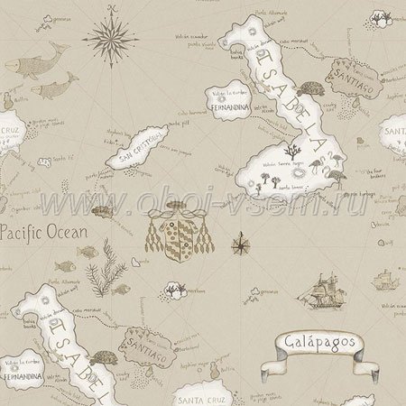   DVOY213365 Voyage of Discovery Wallpapers (Sanderson)